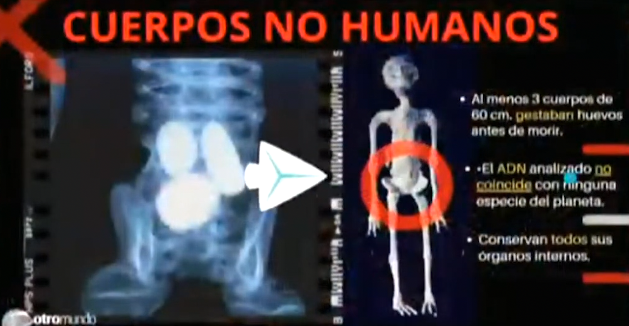 A slide from Mantilla's presentation about "non human corpses."