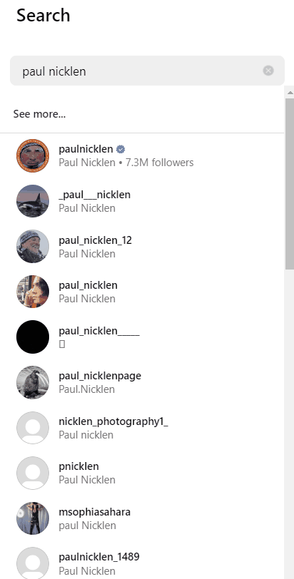A scroll through the search of Paul Nicklen's name on Instagram.