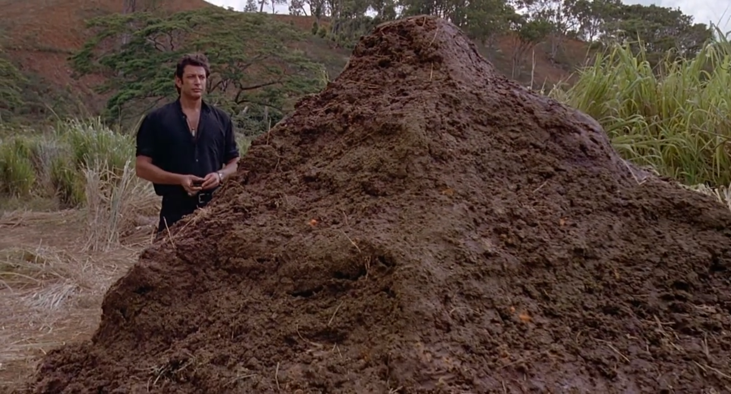 The Rise of the Dinosaurs, Written in Poop