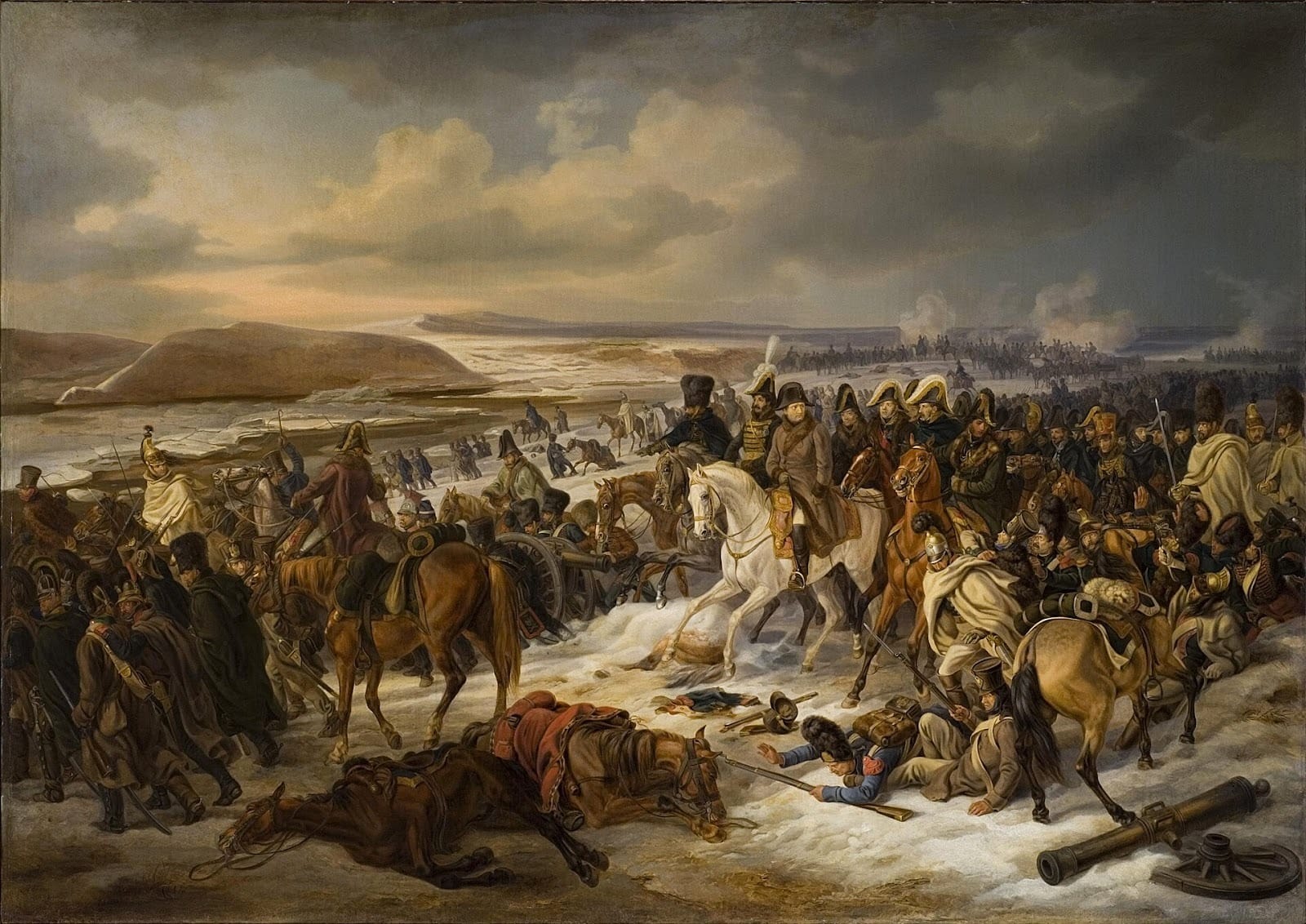 What Really Doomed Napoleon’s Army? Scientists Find New Clues in DNA