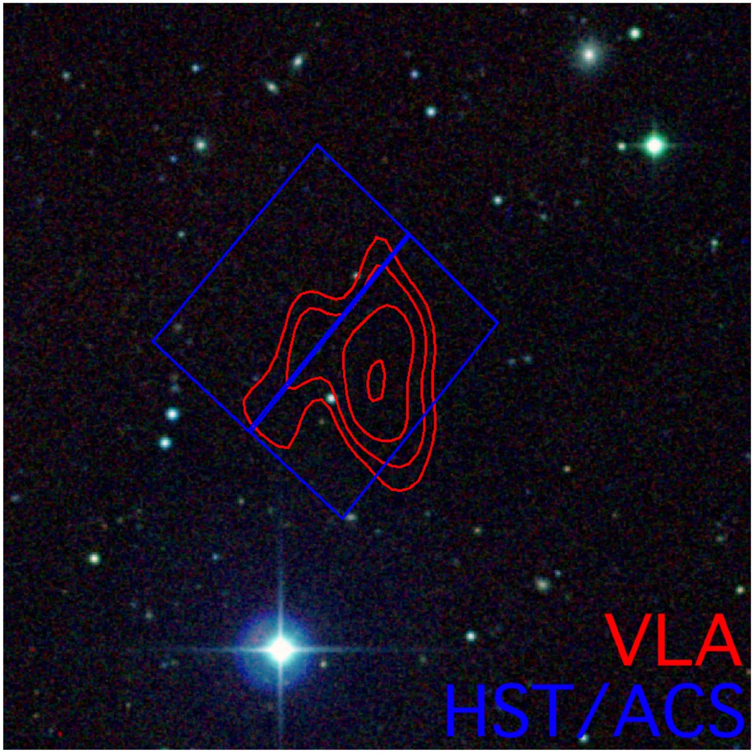 ‘Gifted’ Dogs Learn Human Language, Study Finds