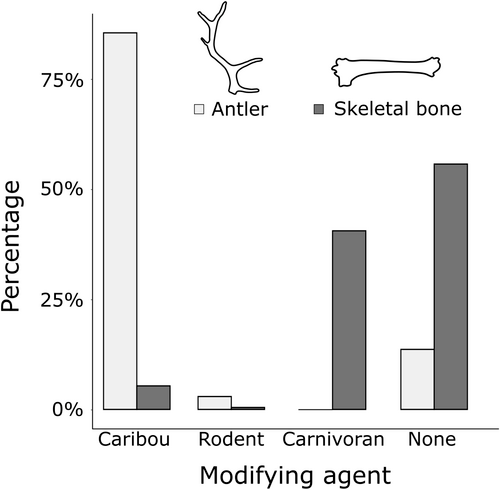 Details are in the caption following the image