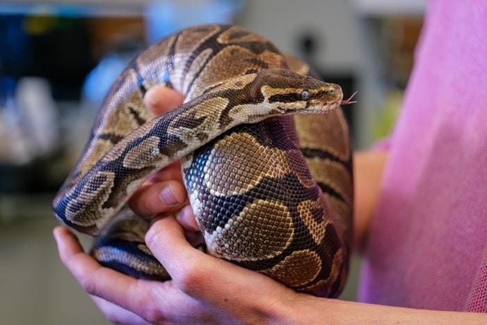 Scientists Narrow Down the Hunt for Aliens to 45 Planets