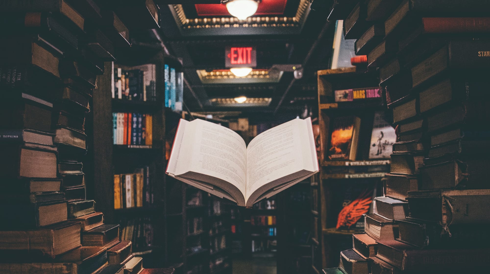 ‘BLOCKADE’: The Right Is Using AI Content Scanners to Try to Supercharge Book Banning