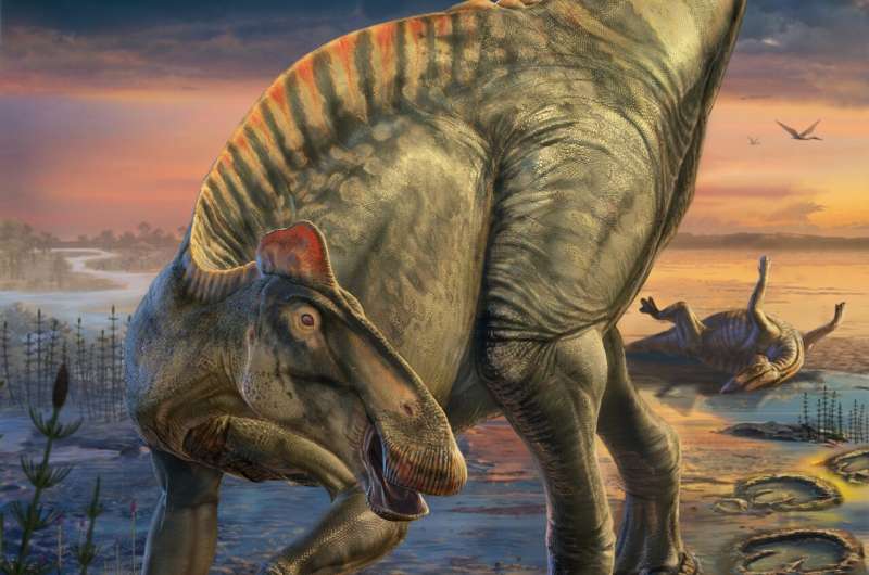 There’s a Dinosaur ‘Mummy Zone.’ Here’s What Scientists Found There.