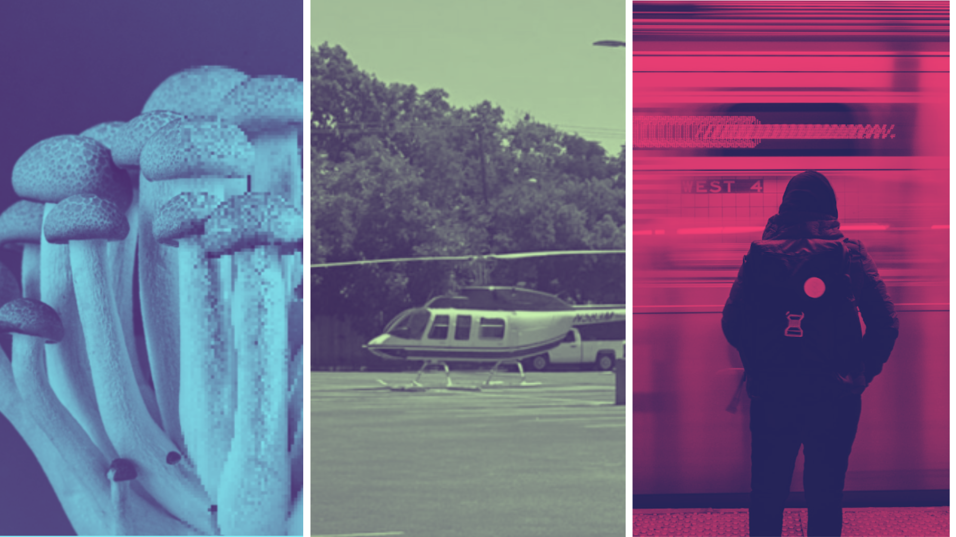 A collage related to 404 Media articles this week