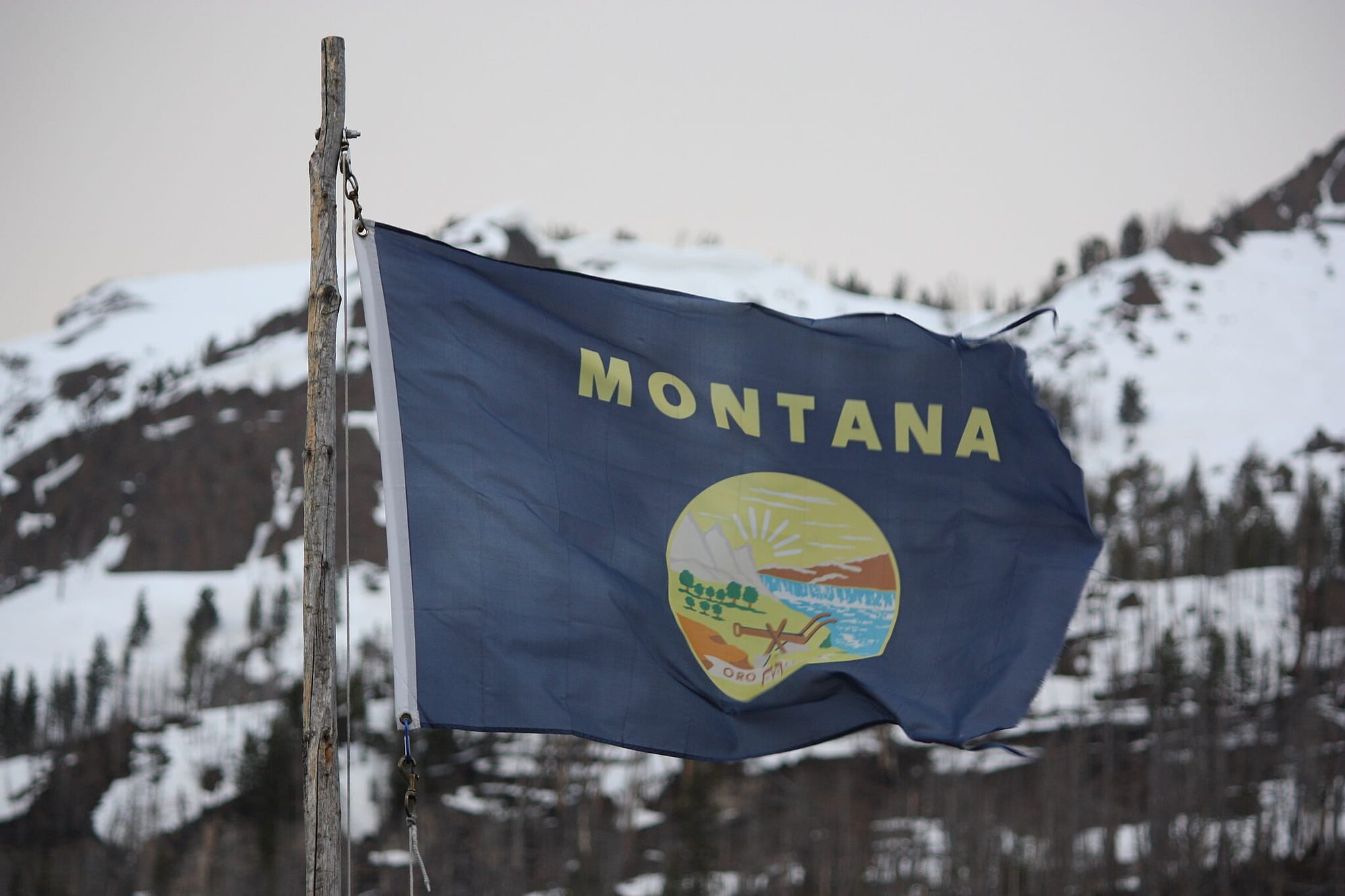 Montana's flag. Wikimedia Commons