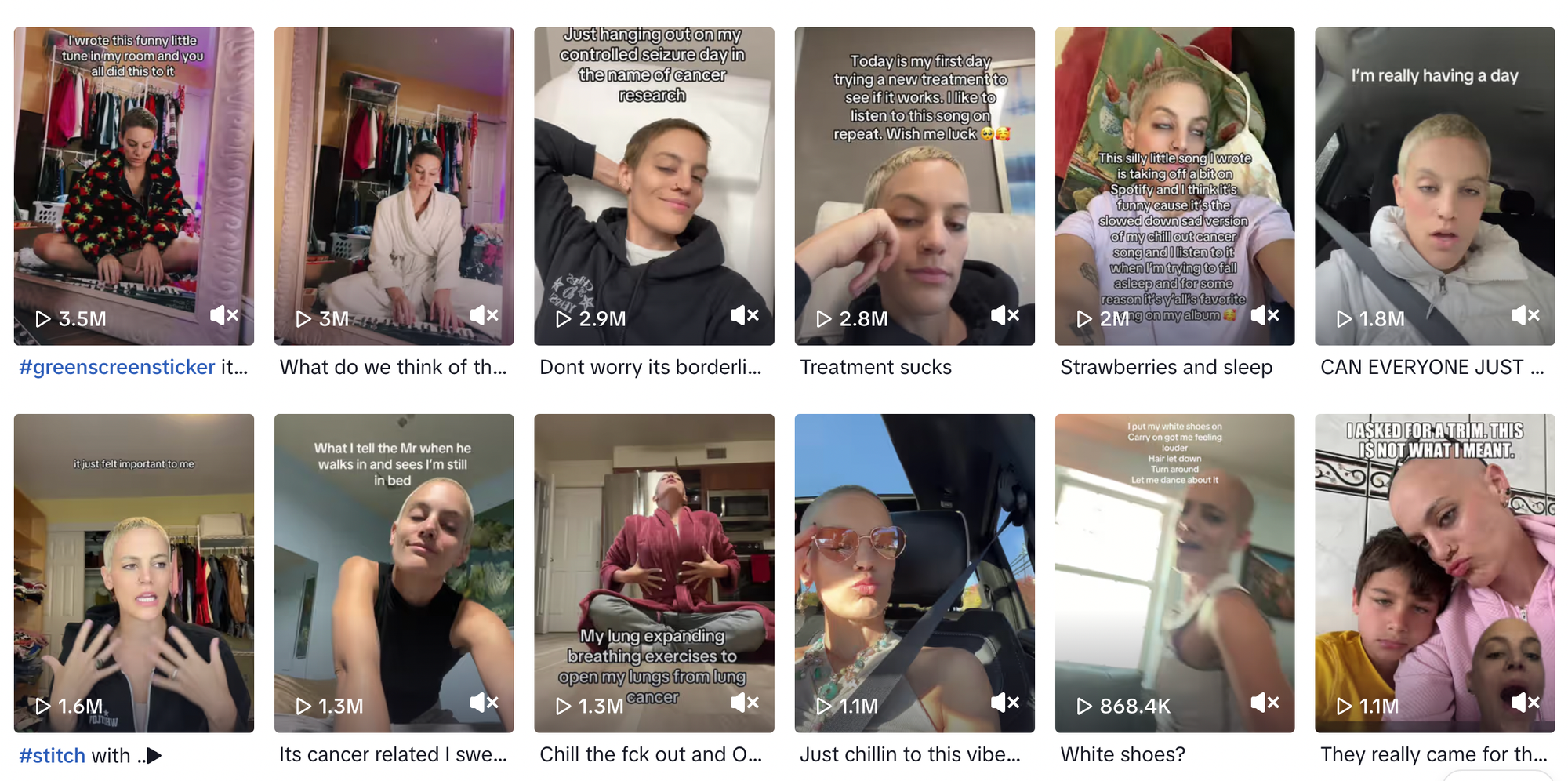 TikTok Literally Silences Cat Janice, Pop Star Who Died of Cancer, Because of Licensing Dispute