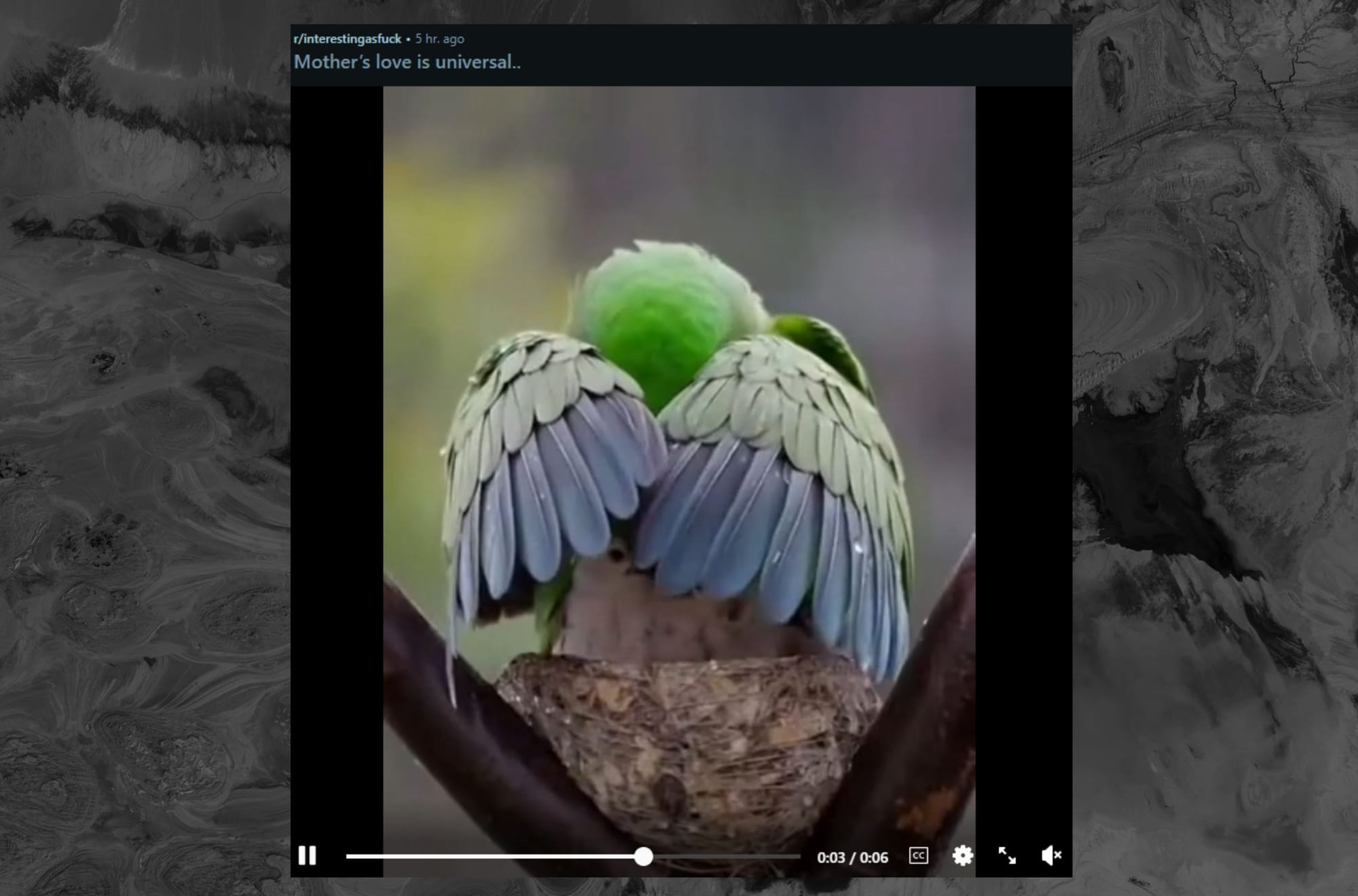 Reddit’s ‘Interesting as Fuck’ Community Rules That AI-Generated Video Is Not Interesting