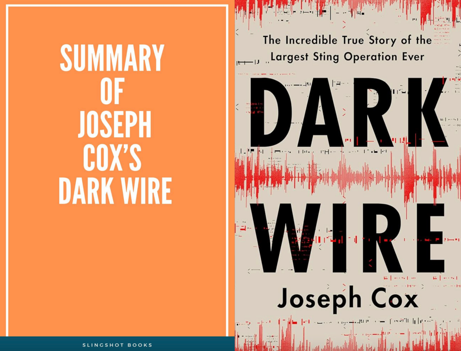 A Slop Publisher Sold a Ripoff of My Book on Amazon