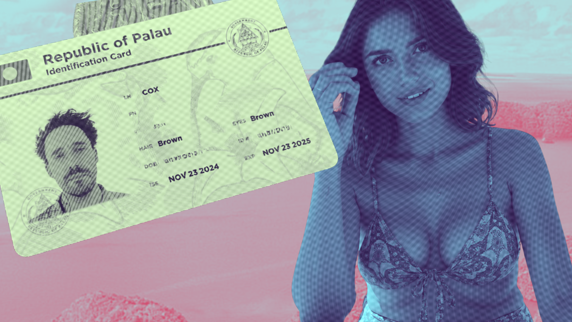 Behind the Blog: Merch Drops, Riso Prints and Big Cars