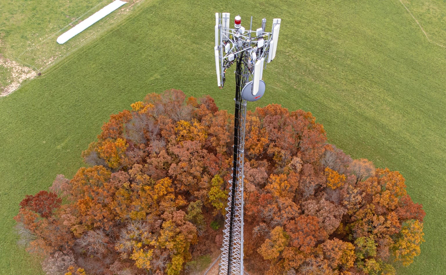 A cell tower amongst the trees.