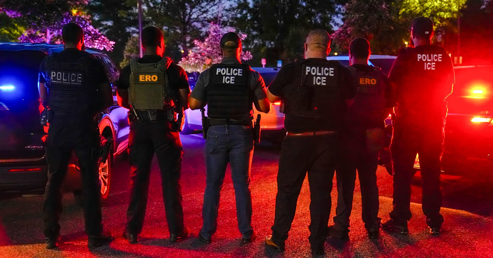 This App Lets ICE Track Vehicles and Owners Across the Country