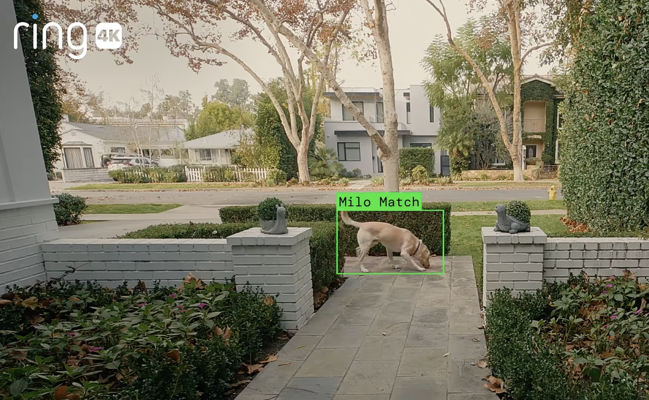 With Ring, American Consumers Built a Surveillance Dragnet