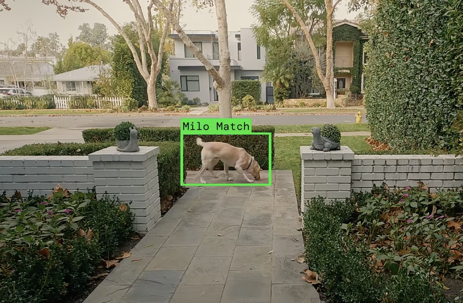 Leaked Email Suggests Ring Plans to Expand ‘Search Party’ Surveillance Beyond Dogs