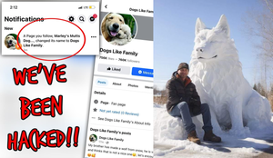 'Dogs Will Pass Away': Hackers Steal Dog Rescue's Facebook Page, Turn It Into AI Content Farm