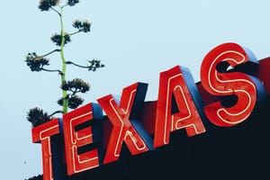 Pornhub Pulls Out of Texas