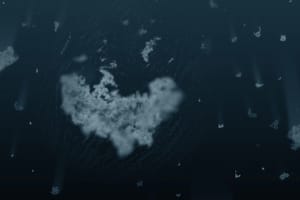 The Future of Earth Hinges on Sea Snot