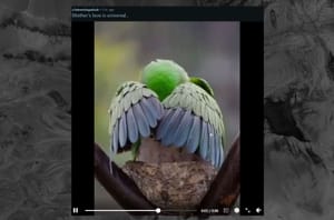 Reddit’s ‘Interesting as Fuck’ Community Rules That AI-Generated Video Is Not Interesting
