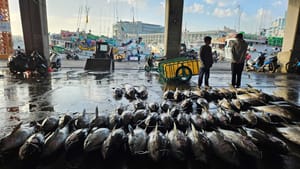 'They Sometimes Worry That I’m Dead Already:' Deep-Sea Fishers Fight for Wi-Fi