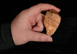 Million-Year-Old Evidence of Epic Journey Near ‘Hobbit’ Island Discovered by Scientists