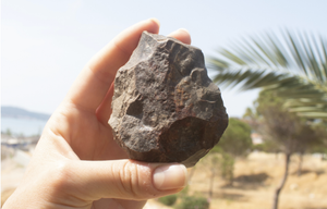 A Breakthrough Prehistoric Discovery May Rewrite Early Human History