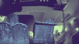 Behind the Blog: Using Your Brain